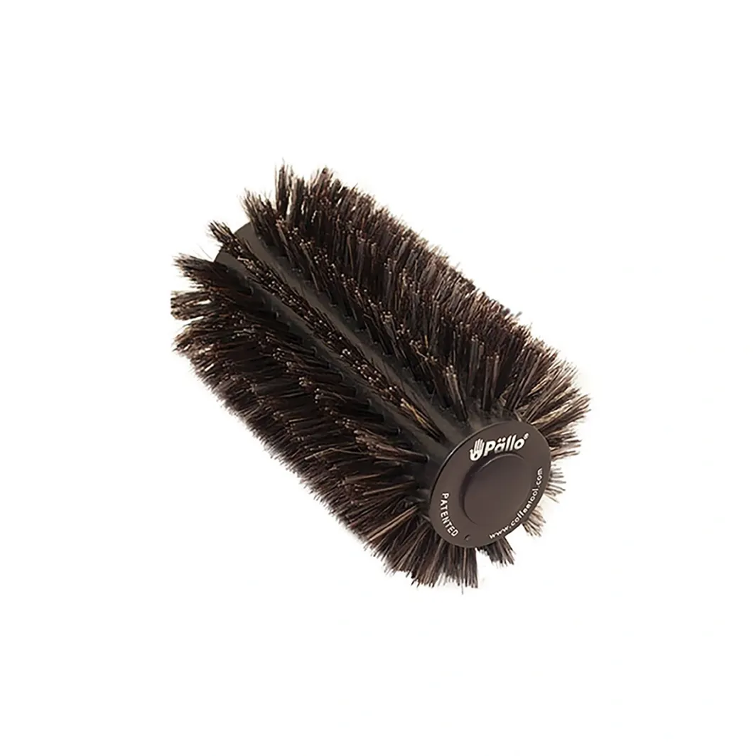PALLO ROLLSTER Replacement Bristle Head (for use with the PALLO Rollster Brush)